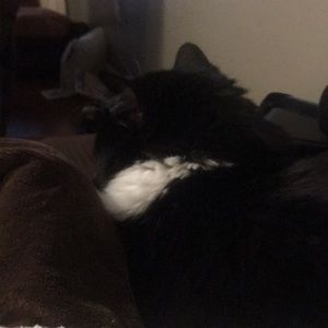 Meet your Posher, William